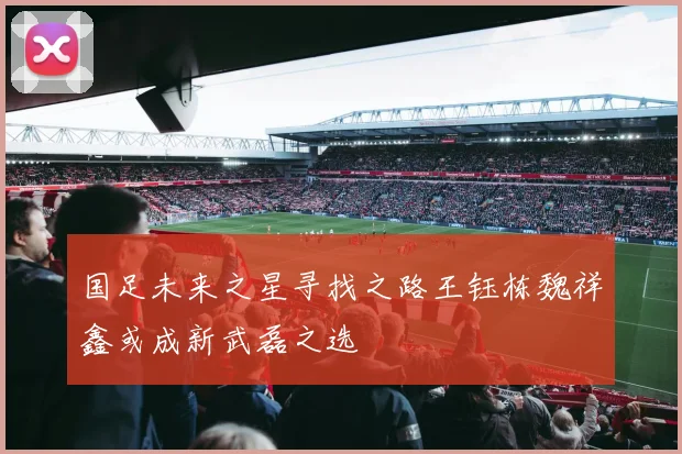 国足未来之星寻找之路王钰栋魏祥鑫或成新武磊之选